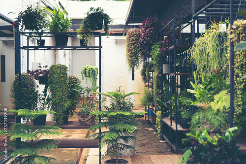 nature plant wall, nature b...