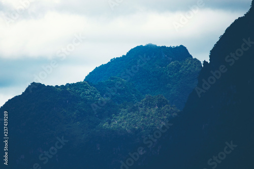 nature landscape view, mountain forest concept