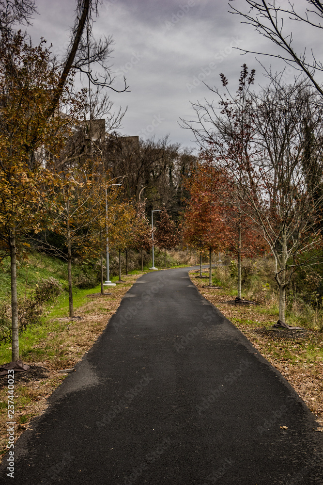 Walking Trail 