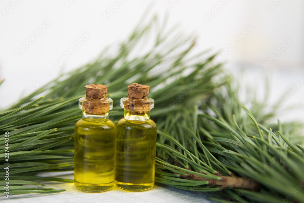 body oil in small jars on a background of pine branches body oil in small jars on a background of pine branches