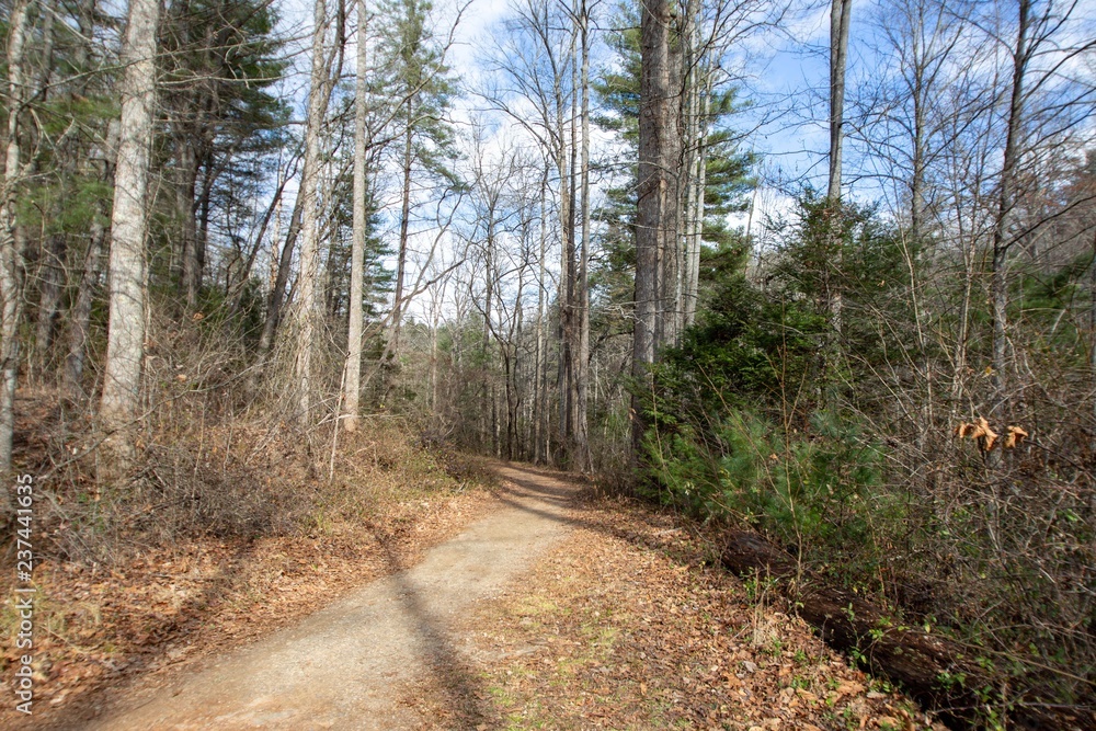 Fototapeta premium Carolina del Norte al Aire Libre