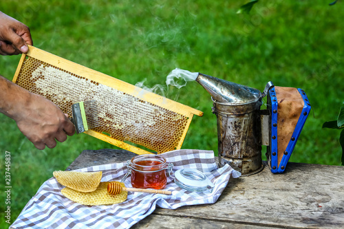 close-up Beekeeper uncapping honeycomb with special beekeeping fork. Raw honey being harvested from bee hives. Beekeeping concept