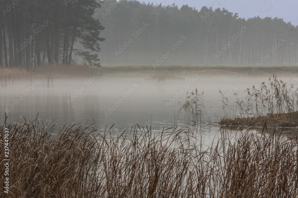 Fototapeta premium Mglisty poranek nad jeziorem.