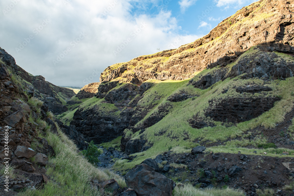 Green covered lava cliffs