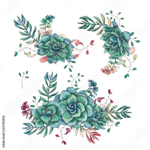 Set of floral succulents compositions in hand draw style. Composition of plant and branches. Vintage elements for invitations, greeting cards, covers and other items.
