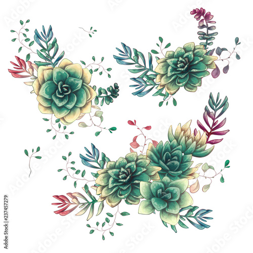 Set of floral succulents compositions in hand draw style. Composition of plant and branches. Vintage elements for invitations, greeting cards, covers and other items.