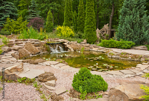 Landscape design, view of small pond with water lilies and small waterfall