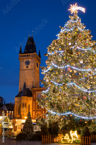 Photography Christmas tree and Christmas market in the center of Prague, Czech Republic