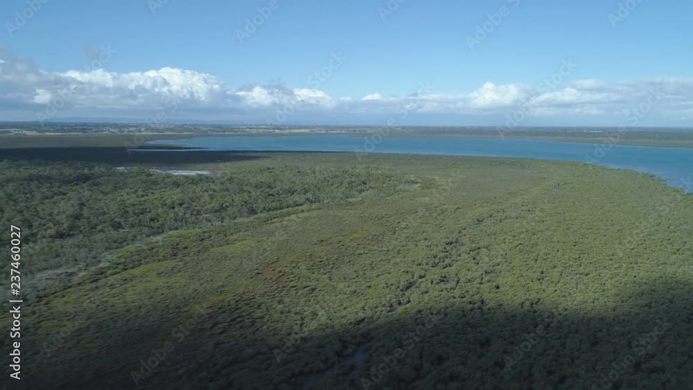 Backward flight over mangroves with fast clouds shadow movement near the ocean Backward flight over mangroves with fast clouds shadow movement near the ocean