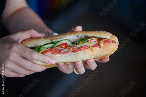 Billede på lærred Original BANH MI vietnamesisches belegtes Street Food Sandwich aus Vietnam in de