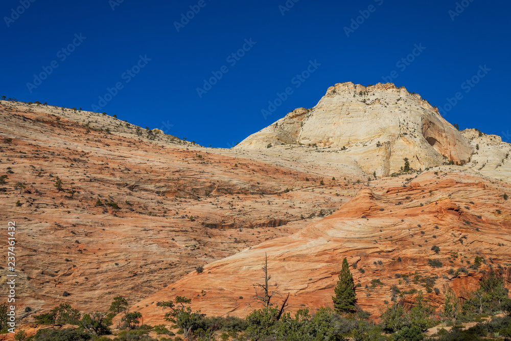 Zion National Park Utah Landscape