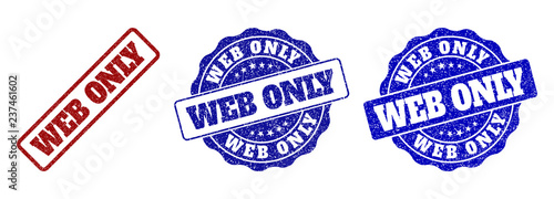 WEB ONLY grunge stamp seals in red and blue colors. Vector WEB ONLY marks with grunge surface. Graphic elements are rounded rectangles, rosettes, circles and text titles.