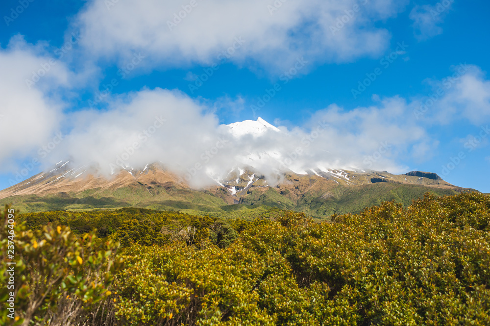 Taranaki, Around the Mountain Circuit, Egmont National Park, New Zealand