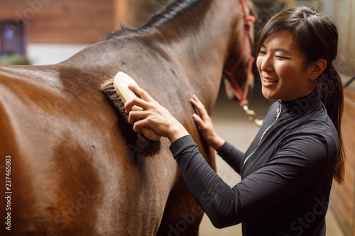 Woman Brushing Horse