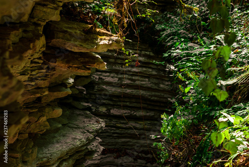 view in a narrow secluded canyon  natural labyrinth of layered stone with vegetation on the walls