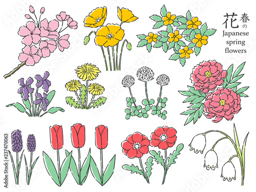 春の花セット