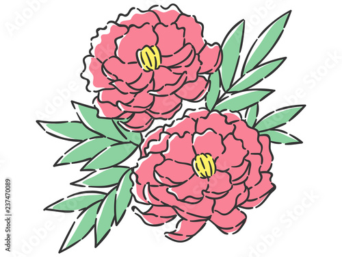 春の花　牡丹