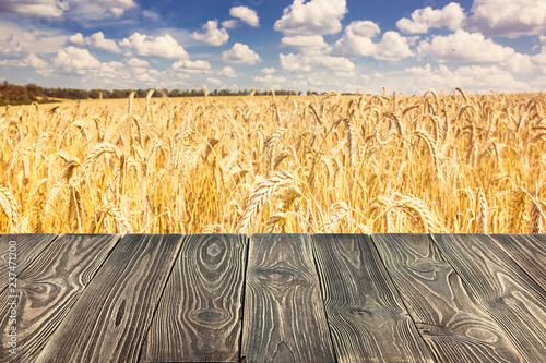 Rural background, template - horizontal surface of the boards on the background of wheat field with the sky, space for text