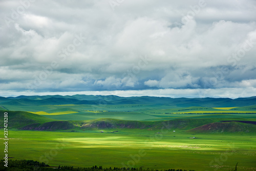 Wallpaper Mural Argun wetland of Hulunbuir grassland landscape. Torontodigital.ca