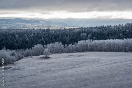 Endless Canadian Winter Landscape