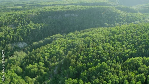 Aerial boreal deciduous forest Athabasca tar sands Canada photo