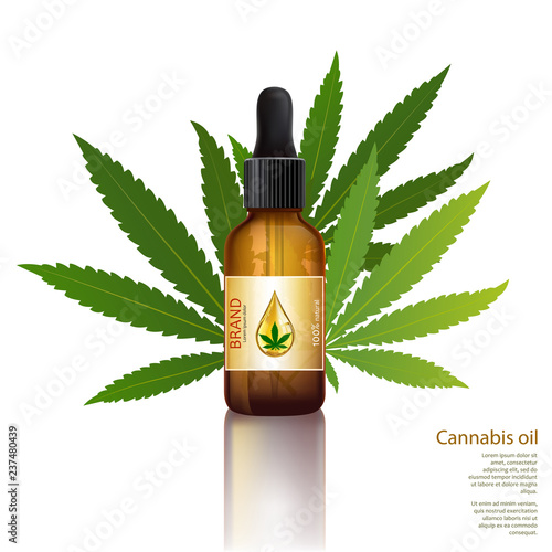 Marijuana plant and cannabis oil bottles vector.