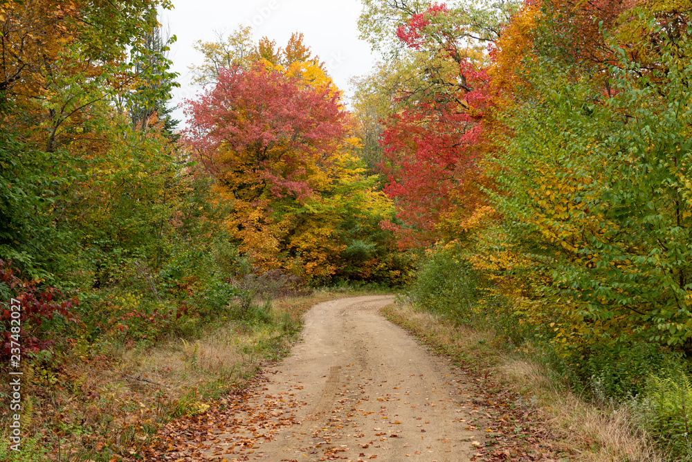 A dirt road in the Adirondacks in autumn
