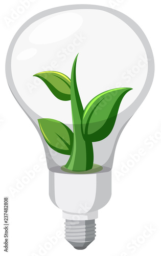 Plant in a light bulb