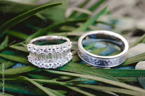 Wedding bands against greenery