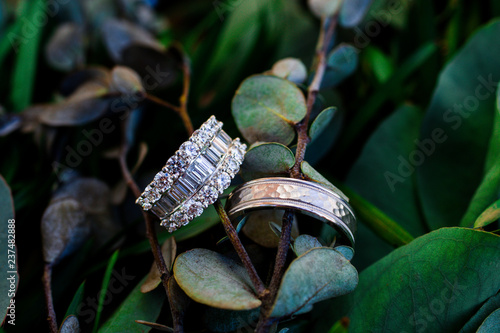 Wedding rings on greenery