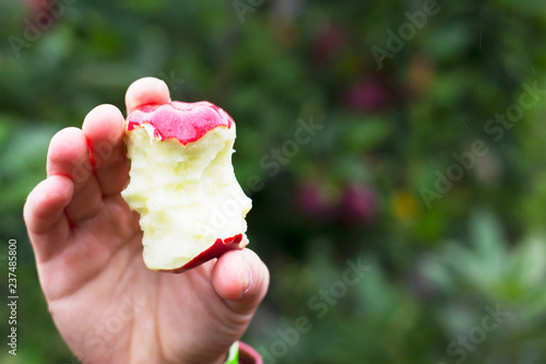 Side shoe of a red apple core being held in one hand