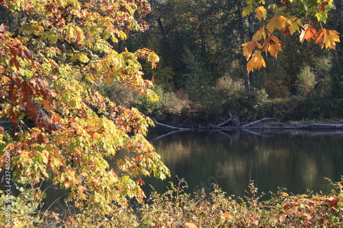 Fototapeta Naklejka Na Ścianę i Meble -  Autumn River