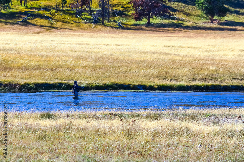 Fly Fisherman in Yellowstone River