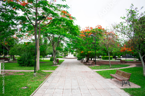 Plaza, Saens Peña photo