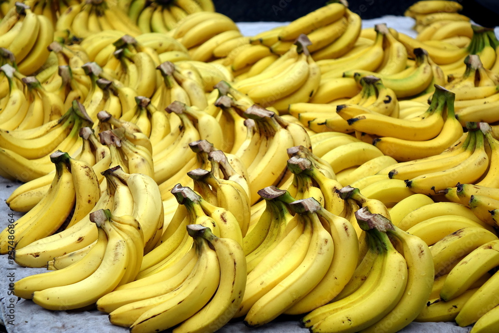 Bananas are Cheap and Plentiful