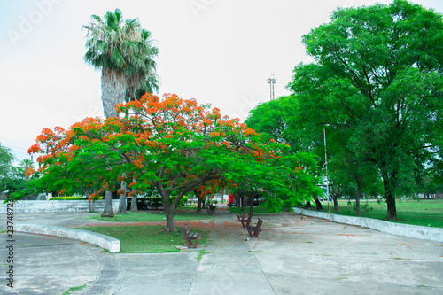 Plaza, Saens Peña photo