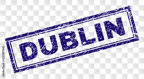 Photography DUBLIN stamp seal print with rubber print style and double framed rectangle shape