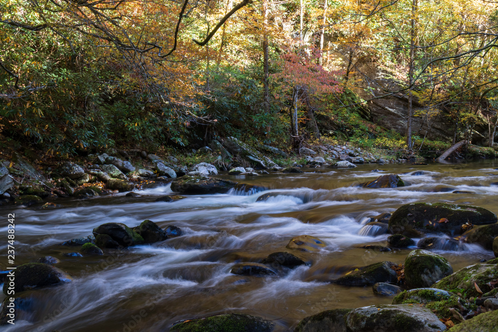 Middle Prong Little River surrounded by fall foliage in the  Great Smoky Mountains National Park, Tennessee