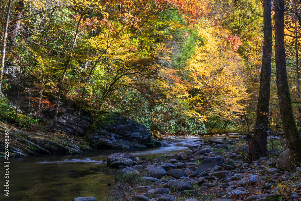 Middle Prong Little River surrounded by fall foliage in the  Great Smoky Mountains National Park, Tennessee