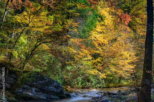 Middle Prong Little River surrounded by Fall Foliage in the  Great Smoky Mountains National Park Tennessee