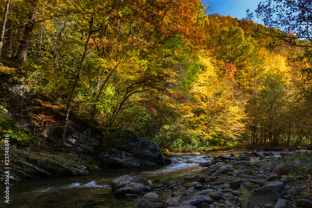 Middle Prong Little River surrounded by Fall Foliage in the Great Smoky Mountains National Park Tennessee