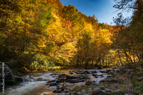 Middle Prong Little River surrounded by fall foliage in the Great Smoky Mountains National Park, Tennessee