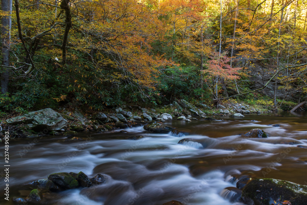 Middle Prong Little River surrounded by Fall Foliage in the  Great Smoky Mountains National Park Tennessee