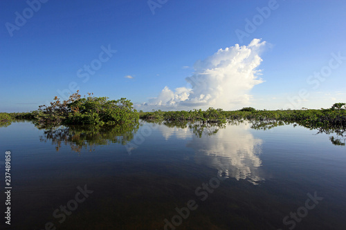Mangrove trees and clouds reflected in the serene water of Barnes Sound, Florida, in early morning light.