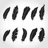Vector feathers icon,sign,symbol, set, collection isolated vector