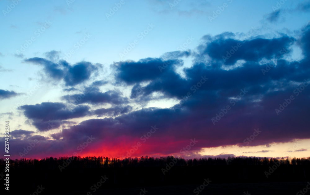 Sunset, clouds and tree silhouettes