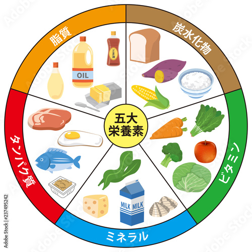 五大栄養素