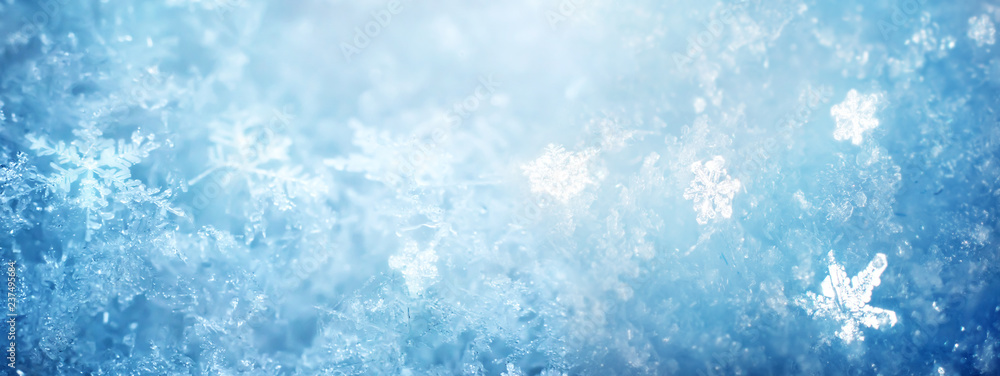 Snow in winter close-up. Macro image of snowflakes, winter holiday background. - obrazy, fototapety, plakaty 