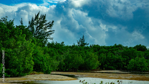  Beach Women or a white island. National Park near Cancun. Here you can rehearse each photographer. Birds, condors, pelicans, herons. There are many birds and the colors of nature are simply amazing.