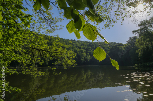 romantischer Blick auf den malerischen Ukleisee photo